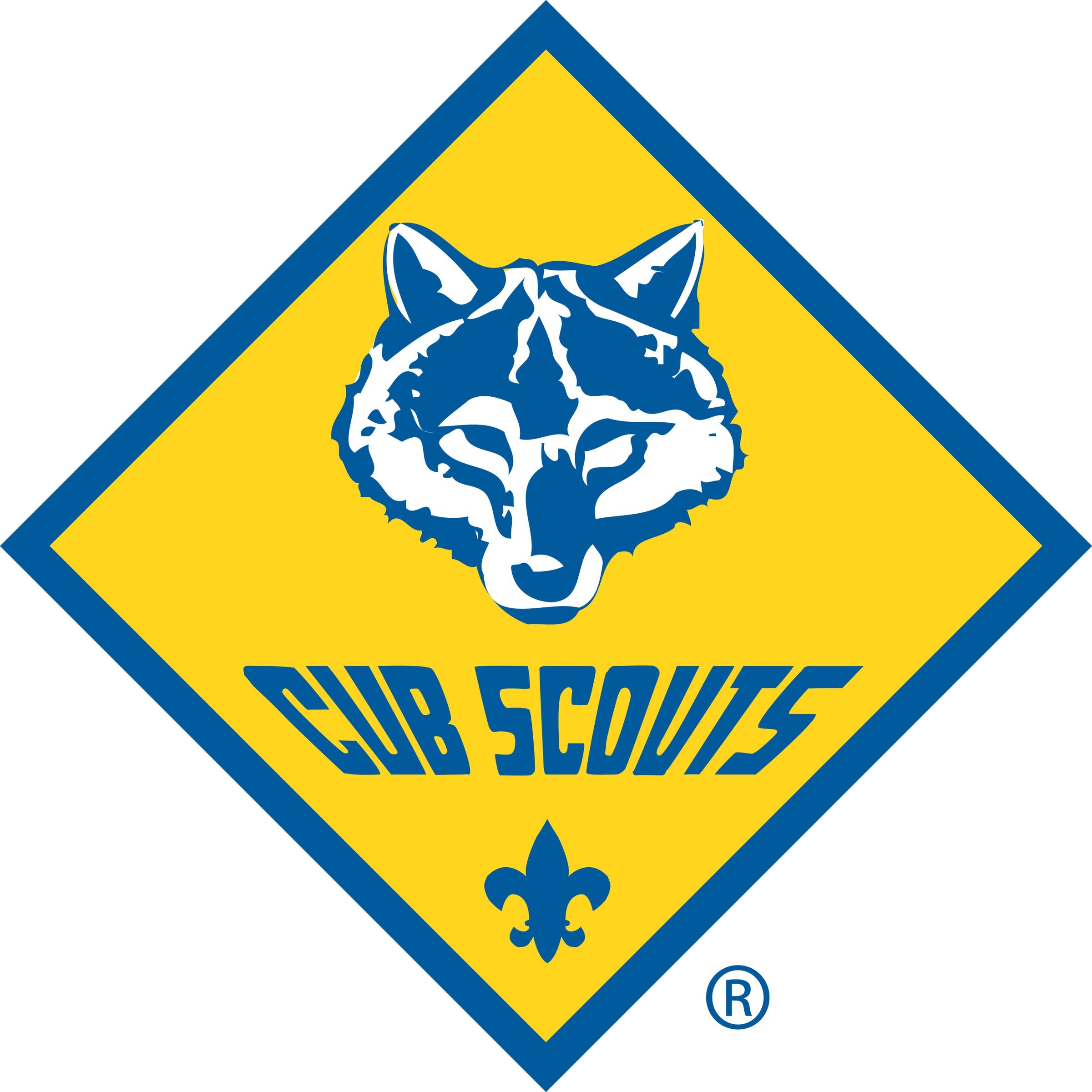 Join Wyckoff Cub Scout Pack 110: Uniform